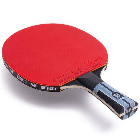 Timo Boll Progress - Image 2