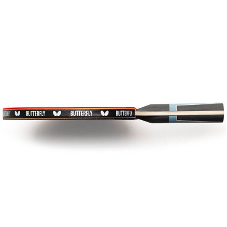 Timo Boll Progress - Image 5